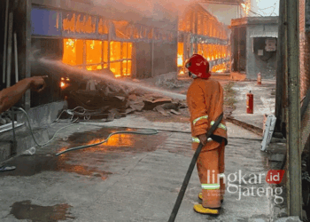 Petugas Pemadam Kebakaran saat memadamkan api yang membakar kandang ayam di Desa Hadipolo, Kecamatan Jekulo, Kabupaten Kudus, pada Rabu pagi, 11 September 2024. (Mohammad Fahtur Rohman/Lingkarjateng.id)