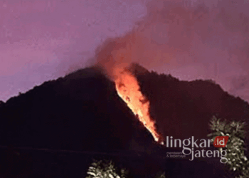 Lereng Gunung Telomoyo di wilayah Kabupaten Semarang mengalami kebakaran pada Rabu, 18 September 2024, sekitar pukul 17.30 WIB. (Hesty Imaniar/Lingkarjateng.id)