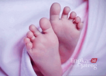 Ilustrasi: Dua orang terduga pelaku pembuangan bayi di Jalan Tambakselo-Karangasem, tepatnya di RPH Tambakselo BKPH Karangasem KPH Purwodadi petak 126, berhasil diamankan Satreskrim Polres Grobogan. (Antara/Lingkarjateng.id)