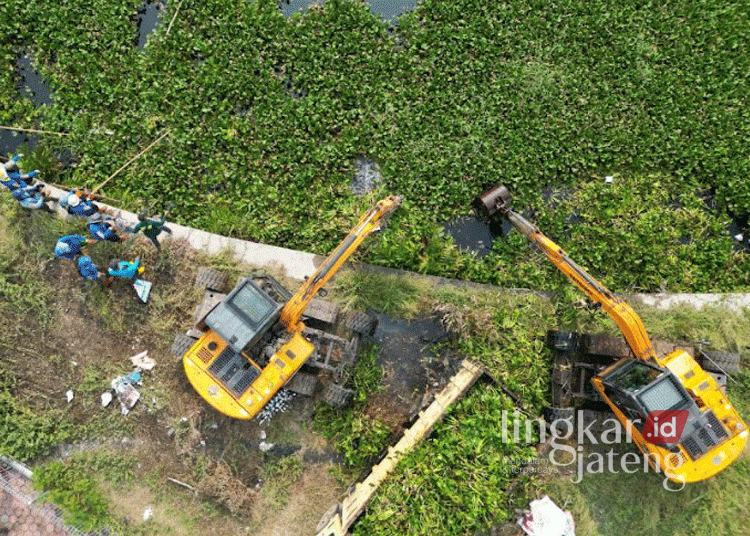 Dua excavator dikerahkan untuk membersihkan eceng gondok yang menutupi aliran Sungai Lodji di Kota Pekalongan dalam upaya pengendalian lingkungan yang melibatkan Pemkot, TNI-Polri, dan dinas terkait pada Selasa, 24 September 2024. (Dok. Kominfo Kota Pekalongan/Lingkarjateng.id)