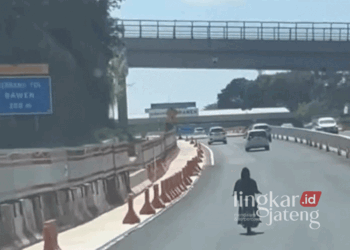 Seorang pemotor terekam nyasar di jalur tol depan Gerbang Tol (GT) Bawen, Kabupaten Semarang, baru-baru ini. (Dok. Lingkarjateng.id)