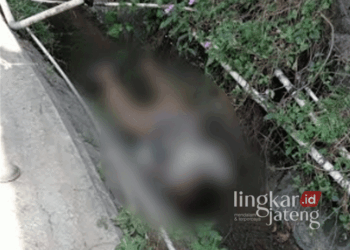Warga Dusun Duren, Desa Duren, Kecamatan Bandungan, Kabupaten Semarang, digegerkan dengan penemuan mayat seorang laki-laki yang tertelungkup di selokan pada Senin, 16 September 2024. (Dok. Polres Semarang/Lingkarjateng.id)