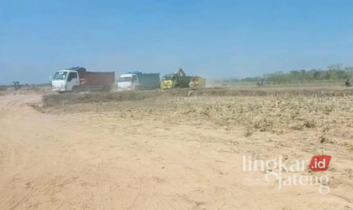 ESDM Jateng Larang Aktivitas Pengerukan Tanah Pertanian untuk Dijual 25 Pengerukan lahan pertanian di Pati