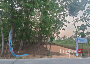 RUSAK: Potret pemasangan APK Pilkada di Blora yang tidak sesuai dengan regulasi KPU. (Dok. Pribadi/Lingkarjateng.id)