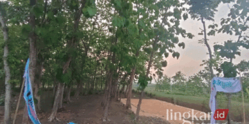 RUSAK: Potret pemasangan APK Pilkada di Blora yang tidak sesuai dengan regulasi KPU. (Dok. Pribadi/Lingkarjateng.id)
