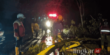 Tim Reaksi Cepat (TRC) BPBD Blora saat mengevakuasi pohon tumbang di Jalan Provinsi Cepu-Singget tepatnya di Desa Ngraho, Kecamatan, Kedungtuban, belum lama ini. (Dok. Pribadi/Lingkarjateng.id)