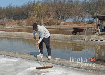 Kunjungi Karangjahe, Harno Ingin Pantai Rembang Jadi Tonggak Ekonomi Kreatif 29 Calon Bupati Rembang nomor urut 01, Harno, saat memantau tambak garam di sekitar Pantai Karangjahe pada Senin, 28 Oktober 2024. (Vicky Rio/Lingkarjateng.id)