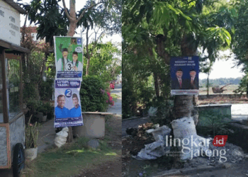Sejumlah APK Pilkada di Kabupaten Pati dipasang di pohon dengan cara dipaku. (Arif Febriyanto/Lingkarjateng.id)
