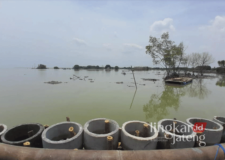 Kawasan Morodemak Demak