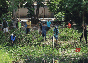 Warga Kelurahan Kauman dan Bendan Kergon, Kecamatan Pekalongan Timur, bergotong-royong membersihkan enceng gondok di aliran Sungai Lodji dalam kegiatan padat karya yang digelar Pemkot Pekalongan pada Senin, 21 Oktober 2024. (Fahri Akbar/Lingkarjateng.id)