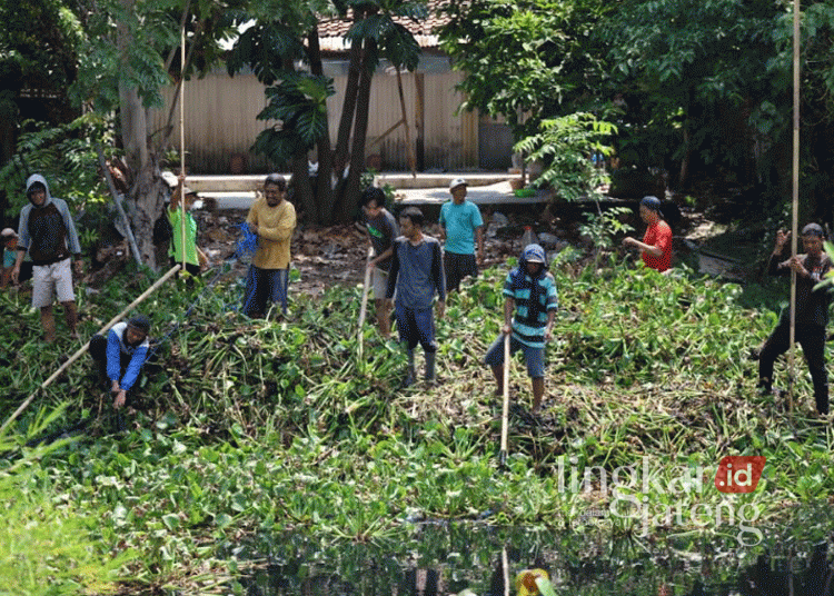 Pemkot Pekalongan bersihkan enceng gondok di Sungai Lodji