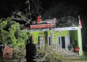 EVAKUASI: Tim Gabungan BPBD dan PMI saat mengevakuasi pohon tumbang yang menimpa rumah warga di Perumahan Korpri, Tanjungsari, Kajen, Kabupaten Pekalongan, pada Jumat, 4 Oktober 2024. (Fahri Akbar/Lingkarjateng.id)
