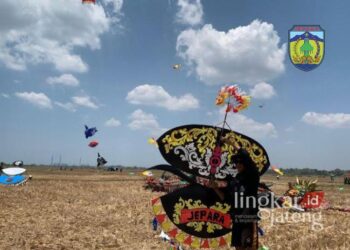 FESTIVAL: Salah satu peserta yang ikut menerbangkan layang-layang di Festival Layang-Layang Kabbupaten Jepara tahun 2023. (Muhammad Aminudin/Lingkarjateng.id)