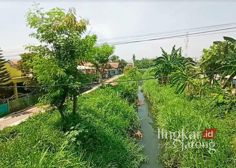 Sungai Plumbon Semarang