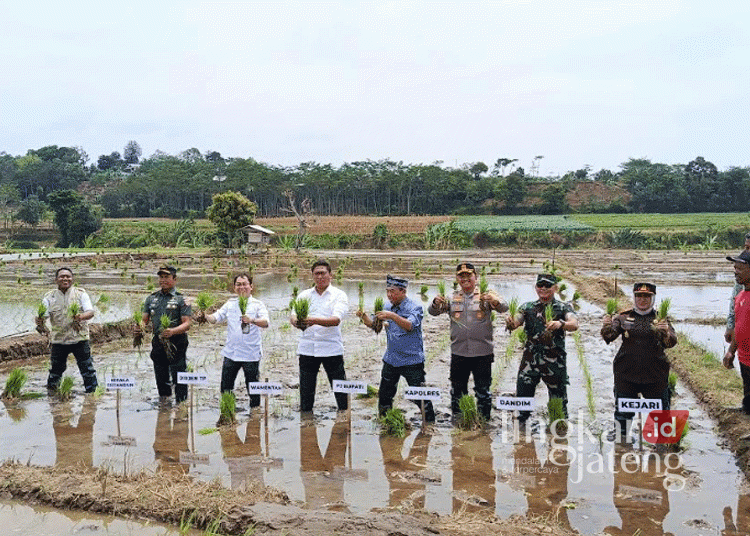 Wamentan RI kunjungi Jepara