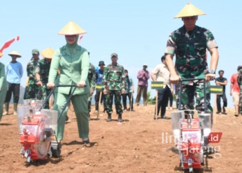Panglima Kodam IV/Diponegoro Mayjen TNI Deddy Suryadi bersama Ketua Persit KCK PD IV/Diponegoro Ny. Sandi Deddy Suryadi secara simbolis melakukan pembukaan lahan di Kebun Jati Desa Pablengan, Kecamatan Patean, Selasa, 29 Oktober 2024. (Dok. for Lingkarjateng.id)