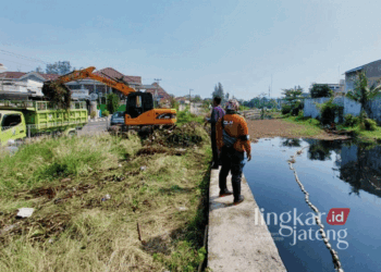 Progres 35 Persen, DLH Kota Pekalongan Kebut Pembersihan Eceng Gondok 28 Proses pembersihan enceng gondok di Sungai Kota Pekalongan oleh tim gabungan DLH, DPUPR, dan masyarakat pada Kamis, 14 November 2024. (Dok. Diskominfo Kota Pekalongan/Lingkarjateng.id)