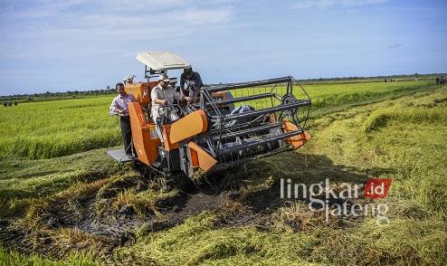 penghapusan utang petani