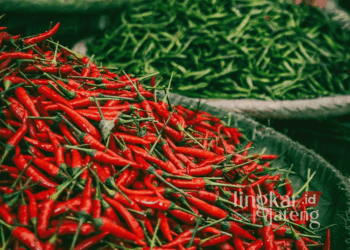 Ilustrasi: Cabai yang dijual pedagang di pasar tradisional. (Pixabay@jusuf111/Lingkarjateng.id)