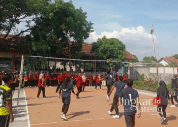 Sejumlah guru dari instansi sekolah negeri saat mengikuti lomba voli dalam rangka perayaan HUT ke-79 PGRI di SMAN 1 Kragan, Rembang, pada Minggu, 20 November 2024. (Dok. HMS/Lingkarjateng.id)