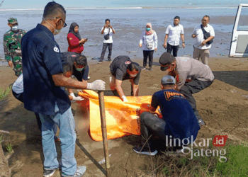 Proses evakuasi mayat tanpa identitas yang ditemukan di bibir Pantai Kemangi dekat muara Sungai Blukar, Desa Jungsemi, Kecamatan Kangkung, Kabupaten Kendal, pada Rabu, 20 November 2024. (Dok. Pribadi/Lingkarjateng.id)