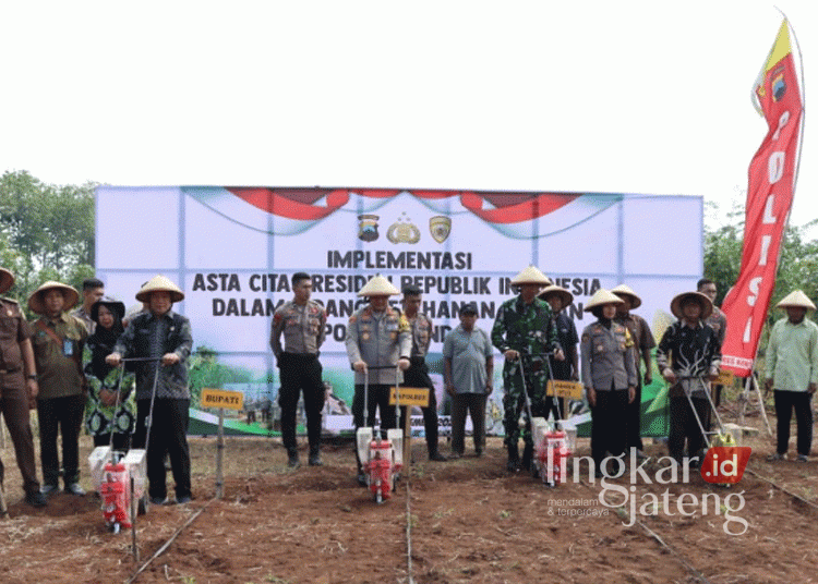 Kegiatan Implementasi Asta Cita Presiden RI dalam Bidang Ketahanan Pangan yang digelar Polres Kendal di Lapangan Kedungsuren, Kecamatan Kaliwungu Selatan, pada Selasa, 5 November 2024. (Dok. Polres Kendal/Lingkarjateng.id)