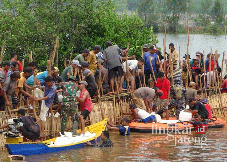 Warga bersama stakeholder bahu-membahu menutup tanggul Sungai Meduri-Bremi yang jebol menggunakan karung pasir di Kabupaten Pekalongan, Jawa Tengah. (Fahri Akbar/Lingkarjateng.id)