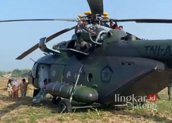 Tangkapan layar video yang memperlihatkan helikopter milik TNI AD yang mendarat darurat di area persawahan Dukuh Tindik, Desa Kadengan Kecamatan Randublatung, Blora pada Sabtu pagi, 2 November 2024. (Dok. for Lingkarjateng.id)