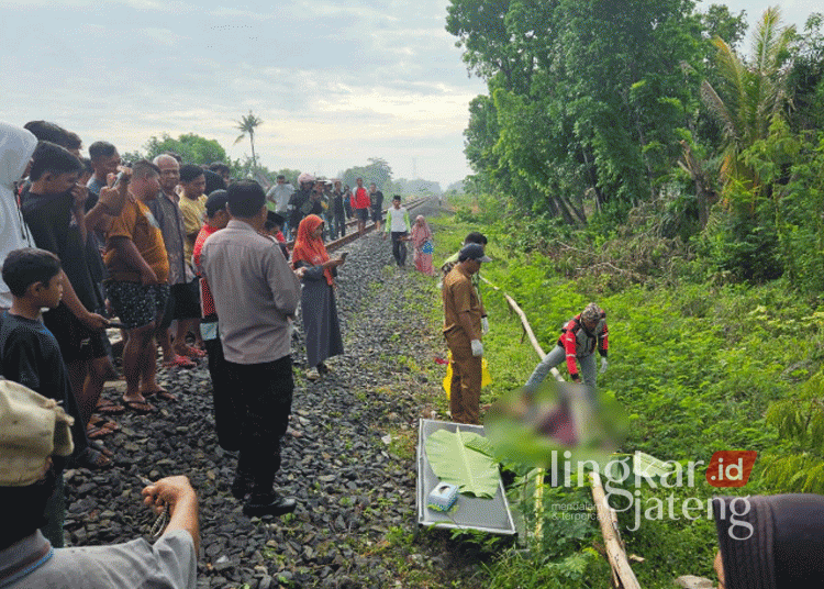 nenek di demak tertabrak kereta api