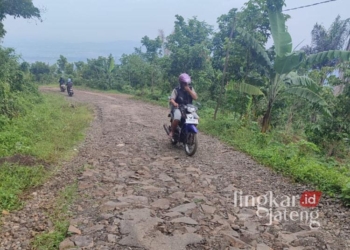 Warga saat melintasi jalan yang rusak bertahun-tahun di Desa Kutorojo, Kecamatan Kajen, Kabupaten Pekalongan, pada Kamis, 12 Desember 2024. (Fahri Akbar/Lingkarjateng.id)