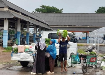 Tak Punya Kartu Kuning, Nasib Pedagang di Terminal Bahurekso Kendal Terombang-ambing 28 Pedagang sayur di Terminal Bahurekso Kendal tengah menyiapkan dagangannya. (Arvian Maulana/Lingkarjateng.id)