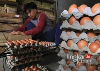 Ilustrasi: Pedagang menyortir telur ayam ras di Pasar baru, Indramayu, Jawa Barat, pada Rabu, 29 Desember 2024 lalu. (ANTARA/Lingkarjateng.id)