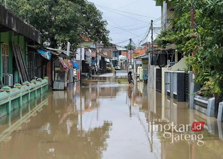 Banjir di RT 3/RW 1 Kelurahan Pekauman imbas meluapnya Sungai Kendal pada Kamis, 16 Januari 2025. (Arvian Maulana/Lingkarjateng.id)