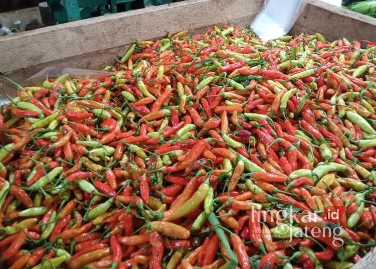 Cabai dagangan salah satu pedagang di Pasar Induk Kajen, Kabupaten Pekalongan, Selasa, 14 Januari 2025. (Fahri Akbar/Lingkarjateng.id)