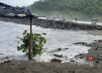 Dana Desa 2025 di Kebumen, Dijatah Rp434,2 M untuk 449 Desa 26 ILUSTRASI: Abrasi di pantai Sawuk Kebumen, Jawa Tengah. (Antara/Lingkarjateng.id)