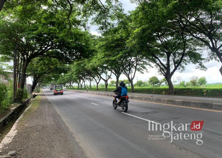 Seorang pengendara sepeda motor sedang melintas di Jalan Pantura Demak, Sabtu, 4 Januari 2025. (M. Burhanuddin Aslam/Lingkarjateng.id)