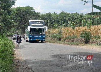Kondisi jalan provinsi milik Pemprov Jateng di Kabupaten Blora yang belum tersentuh betonisasi.(Eko Wicaksono/Lingkarjateng.id)