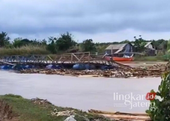 RUSAK: Jembatan apung penghubung Desa Gebangarum Kecamatan Bonang dan Desa Wonoagung Kecamatan Karangtengah yang terbuat dari kayu hanyut terbawa arus Sungai Tuntang Lama pada Selasa, 21 Januari 2025. (M. Burhanuddin Aslam/Lingkarjateng.id)