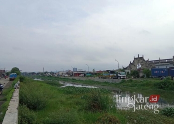 Kondisi Kanal Kalibaru, Kota Semarang, yang banyak ditumbuhi eceng gondok, Rabu, 29 Januari 2025. (Syahril Muadz/Lingkarjateng.id)