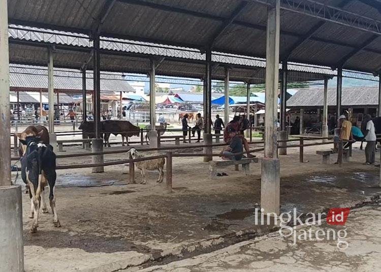 Aktivitas di Pasar Hewan Ambarawa, Ngrawan Kidul, Kecamatan Bawen, Kabupaten Semarang, tampak sepi ditengah merebaknya penyakit PMK, Senin, 6 Januari 2025. (Hesty Imaniar/Lingkarjateng.id)