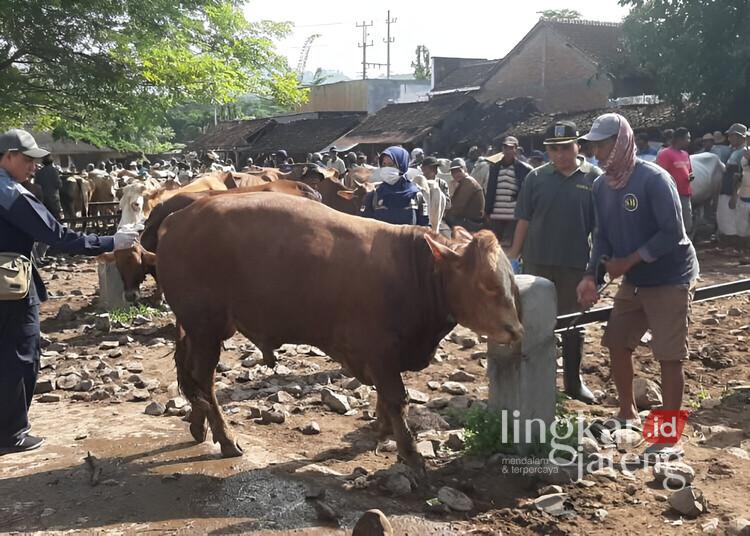 Pasar Hewan Pamotan Rembang