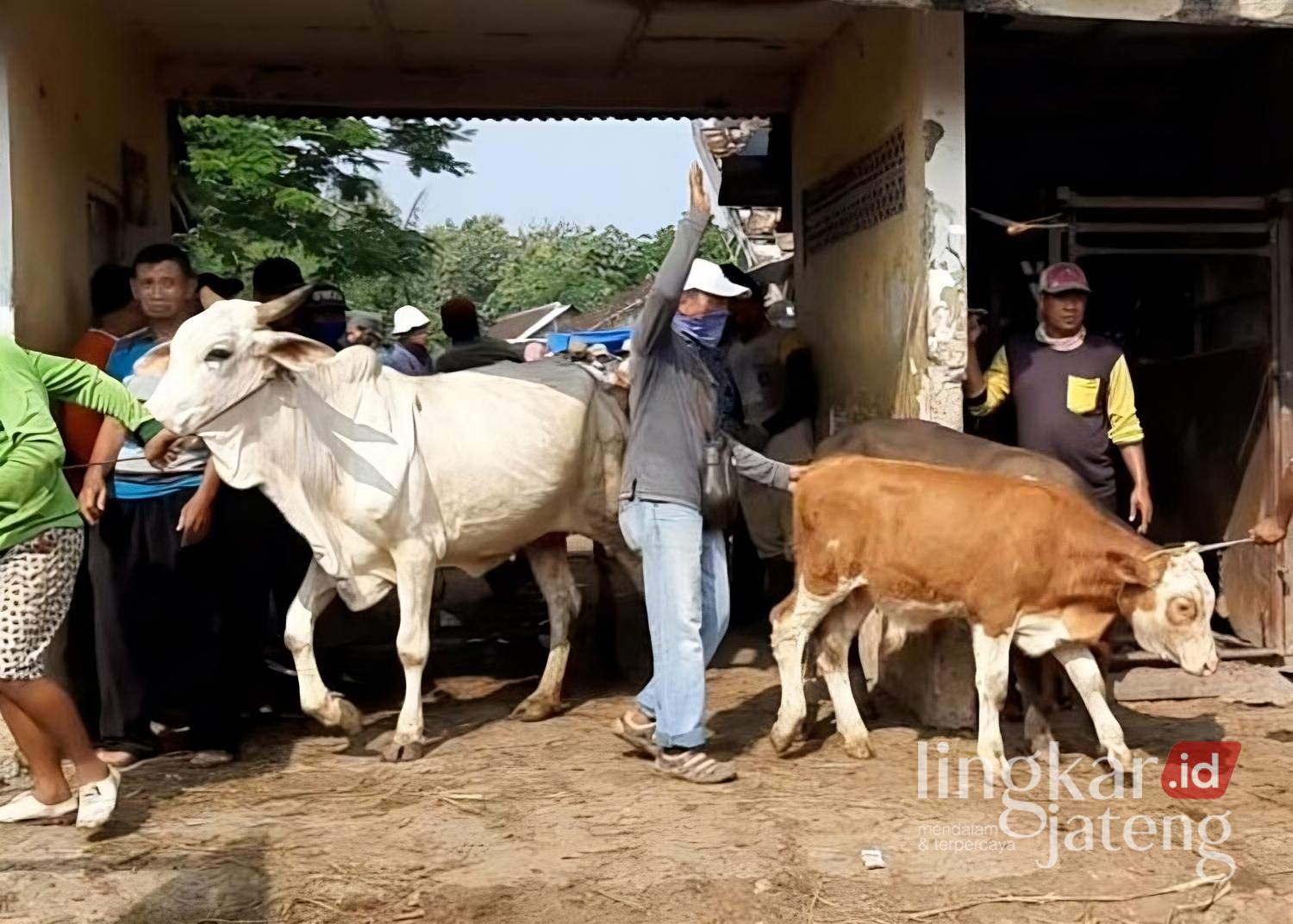 Aktivitas di salah satu pasar hewan di Kabupaten Rembang. (Rembangkab/Lingkarjateng.id)
