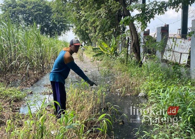 Saiful Anaf, seorang petani sekaligus penyewa lahan di dekat TPA Tanjungrejo, Kudus, sedang menunjukkan genangan limbah imbas sampah overload pada Jumat, 3 Januari 2025. (Mohammad Fahtur Rohman/Lingkarjateng.id)