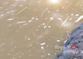 Penampakan air di Sungai Jati Pasihan yang diduga terkontaminasi limbah cair dari TPA Tanjungrejo Kudus, Minggu, 19 Januari 2025. (Mohammad Fahtur Rohman/Lingkarjateng.id)