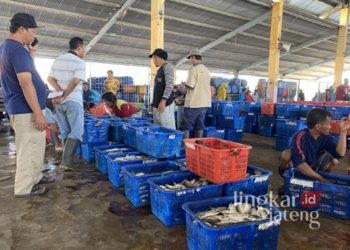 Suasana aktivitas di Tempat Pelelangan Ikan (TPI) Pekalongan. (Fahri Akbar/Lingkarjateng.id)