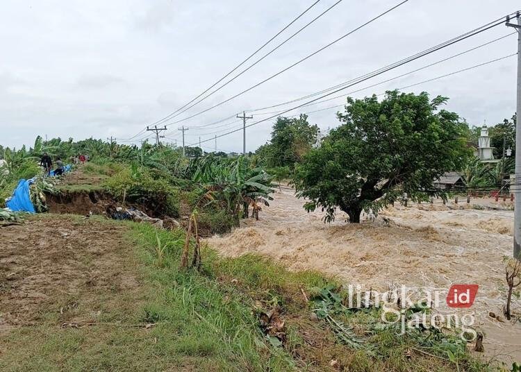 Air meluap imbas tanggul Sungai Tuntang di Kecamatan Kebonagung, Kabupaten Demak, yang mengalami jebol, Selasa, 21 Januari 2025. (M. Burhanuddin Aslam/Lingkarjateng.id)