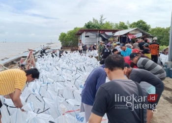 Warga bersama TNI-Polri bergotong royong mengisi karung dengan pasir laut untuk membangun tanggul darurat guna mencegah meluasnya banjir di Kecamatan Wonokerto, Kabupaten Pekalongan, Rabu, 22 Januari 2025. (Fahri Akbar/Lingkarjateng.id)