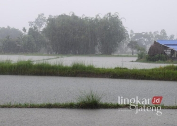 ILUSTRASI : Hujan lebat mengguyur pedesaan.(Pixabay/@ajaykhadka/Lingkarjateng.d)