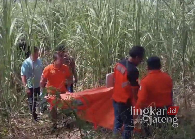 EVAKUASI: Petugas Polres Kudus bersama tim Inafis mengevakuasi mayat yang ditemukan di lahan tebu  di Desa Gondoharum, Kecamatan Jekulo, Kabupaten Kudus, Sabtu, 15 Februari 2025. (Fahtur Rohman/Lingkarjateng.id)