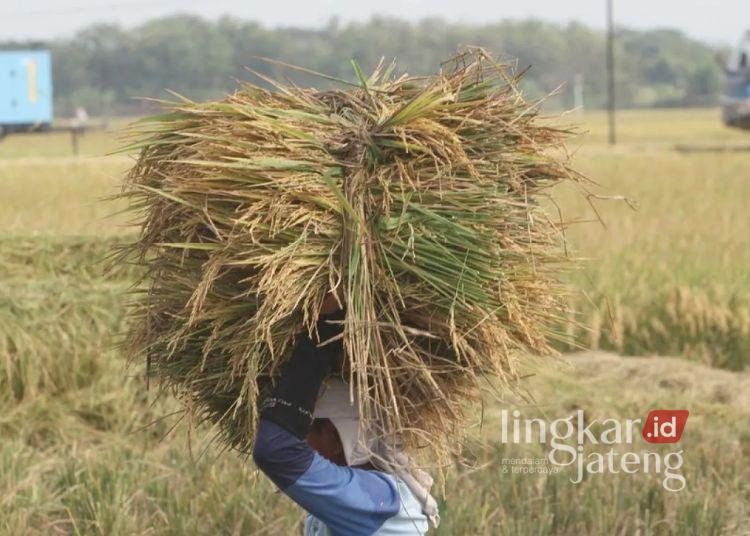 Daftar 150 Desa Penerima Dana Desa 2025 di Sukoharjo